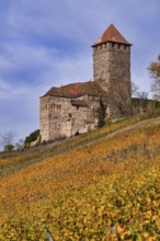 Keep, tower, Lichtenberg Castle, Oberstenfeld, Bottwartal, Löwensteiner Mountains, vineyard, vines,