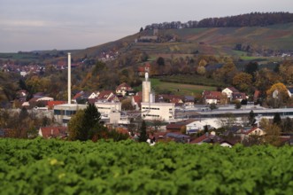 Company MAP loading equipment, pallets, Oberstenfeld, behind Hohenbeilstein Castle, vineyards,