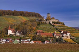 Hohenbeilstein Castle, Freizeitheim Magdalenenkirche, Lower Castle, Vineyards, Beilstein,
