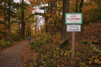 Sign, forest trail, closed to vehicles, hikers, Oberstenfeld, Bottwartal, Löwensteiner Berge,