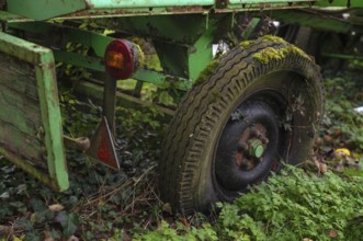 Detailed view, trailer, broken, rotting, moss on tires, wheel, rear light, Oberstenfeld,