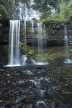 Russell Falls. Australia's most beautiful waterfall in the green Tasmanian forest, between ferns
