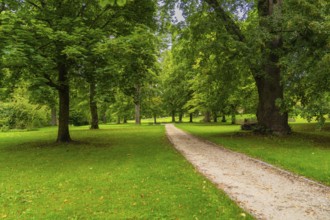 A quiet trail leads through a green park, lined with large, old trees, ZFP Zwiefalten, Reutlingen