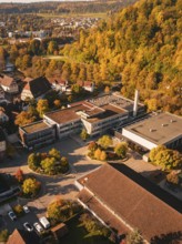 Aerial view of a school complex in front of an autumn forest, Nagold, Black Forest, Germany