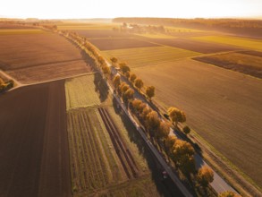 Aerial view of a road leading through autumnal fields, Nagold, Black Forest, Germany