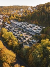 Bird's-eye view of houses in the middle of an autumn forest, Nagold, Black Forest, Germany