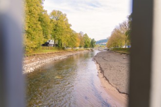 River landscape in autumn with trees and calm water surface, Nagold, Black Forest, Germany
