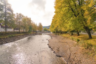 Autumn river landscape with trees along the banks, Nagold, Black Forest, Germany