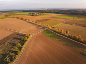 Wide fields with autumn trees and a path through a landscape, Nagold, Black Forest, Germany