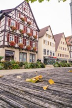 Traditional half-timbered houses with flower boxes and autumn leaves on a wooden bench in an old