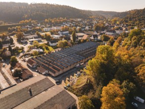 City view with hills and autumn trees, residential areas in the foreground, Nagold, Black Forest,