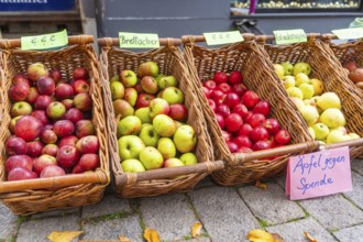 Apples in different colors in wicker baskets offered for donations at a street market,