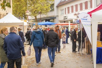 Families visit a lively market with a festive atmosphere and autumn decorations, traditional fruit
