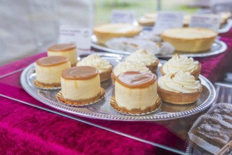 Various small desserts on a silver plate on a sales table, Streuobstmarkt, Sindelfingen, Böblingen