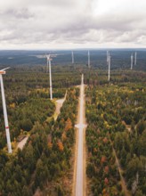 Several wind power plants along a road in a large autumn forest, Simmersfeld wind farm, Germany