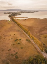 Autumn road with colorful trees in a wide lake landscape, Lindau, Lake Constance, Germany