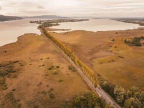 Autumn landscape with a long row of trees along a lake, Lindau, Lake Constance, Germany