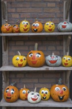 Wooden rack with painted pumpkins, North Rhine-Westphalia, Germany