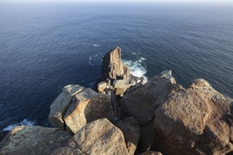 The tip of Cape Raoul, Tasman Peninsula, Tasmania, Australia