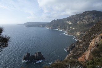 View of Shipstern Bluff. Cape Raoul, Tasman Peninsula, Tasmania, Australia