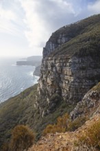 View of Shipstern Bluff. Cape Raoul, Tasman Peninsula, Tasmania, Australia