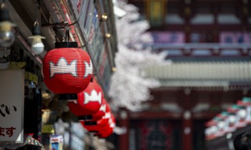 Red lanterns on Nakamise-dori shopping street, in the back the Hozomon Gate of Asakusa Shrine or