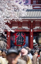 View of numerous visitors on Nakamise-dori shopping street of the Hozomon Gate of Asakusa Shrine or