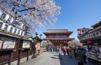Nakamise-dori shopping street with lanterns, Hozomon Gate of Asakusa Shrine or Senso-ji Temple,