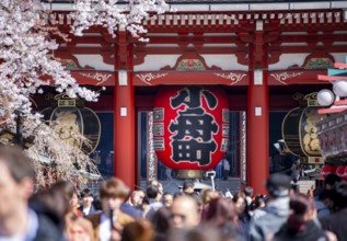 View of numerous visitors on Nakamise-dori shopping street with Hozomon Gate of Asakusa Shrine or