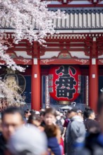 View of numerous visitors on Nakamise-dori shopping street with Hozomon Gate of Asakusa Shrine or