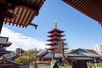 Five-story pagoda, Buddhist temple complex, Asakusa shrine or Senso-ji temple, Asakusa, Tokyo,