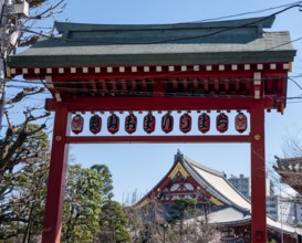 Red gate with lanterns, red and gold roof gable of a temple building, Buddhist temple complex,