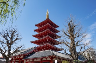 Five-story pagoda, Buddhist temple complex, Asakusa shrine or Senso-ji temple, Asakusa, Tokyo,