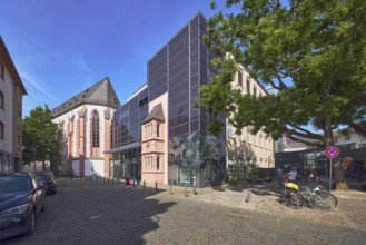 Mainz Museum of Natural History, Gutenberg Museum, Printing and Writing Museum, general