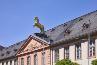 Mainz State Museum, Museum of Cultural History, Art Museum, Marstall, Historic Building, Baroque