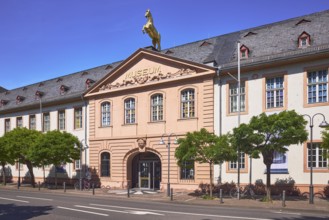Mainz State Museum, cultural history museum, art museum, Golden Ross barracks, historic buildings,