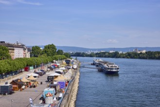 Rhine river, sightseeing boats, shore, waterfront, sales vehicle, general architecture, trees, blue