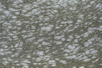 Structure of pollution in the port of Ahrenshoop, Darß, Baltic Sea, Mecklenburg-Western Pomerania,