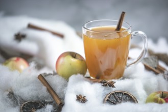 A glass of apple punch with cinnamon sticks and apples in a winter environment
