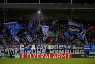 Fan block, fans, fan curve, flags, atmosphere, atmospheric Hamburger SV HSV, DFB-Pokal,