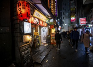 Pedestrians, alley with neon signs, paper lanterns and advertising signs at night, Udagawacho,