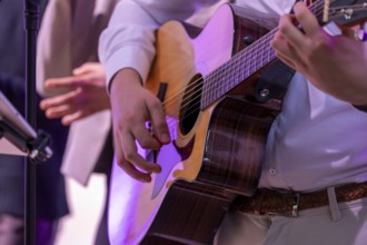 Musician playing the guitar