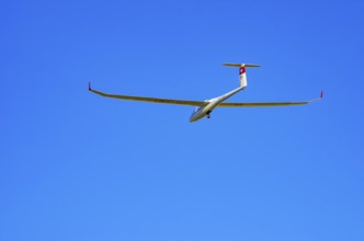 A DG Flugzeugbau glider DG-1000, registration HB-3361, during a demonstration as part of an air