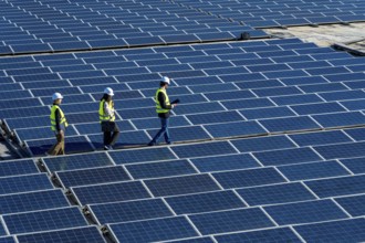 Engineers wearing safety vests and hard hats walking along rows of blue solar panels, performing