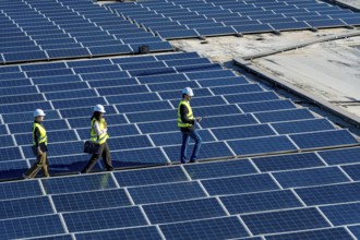 Engineers wearing safety helmets and vests are walking across a large array of solar panels,