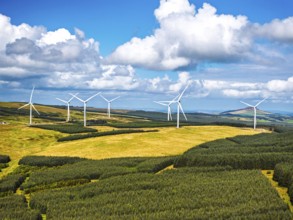 Wind Farm from a drone, Roxburghshire, Roxburgh, Southern Uplands, Scotland, UK