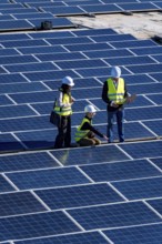 Engineers and technicians inspecting solar panels on a large solar farm, collaborating and
