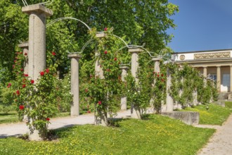 Rosengarten am Rosensteinmuseum, Rosensteinpark, Stuttgart, Baden-Württemberg Germany, Stuttgart,
