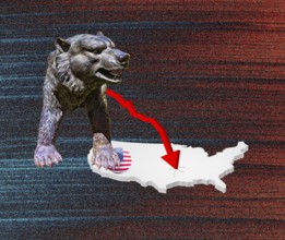 Symbolic picture, bear stands for stock market bear market, Wall Street and DAX crash, President