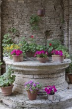Old fountain decorated with lots of potted flowers, Tuscany, Italy